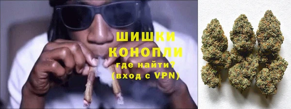 PSILOCYBIN Верея