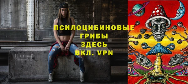 PSILOCYBIN Верея