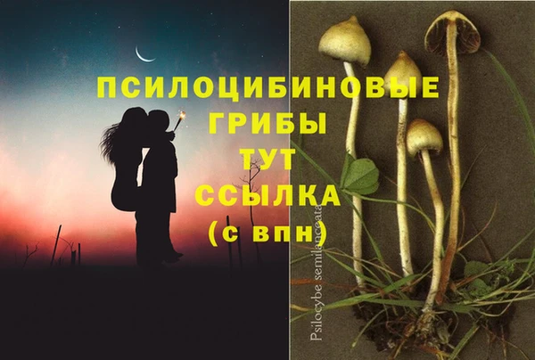 PSILOCYBIN Верея