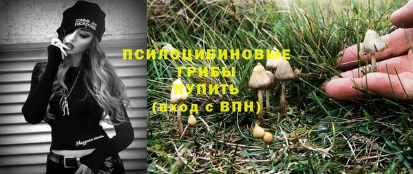 альфа пвп Верхнеуральск