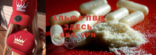 PSILOCYBIN Верея