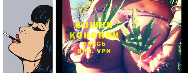 PSILOCYBIN Верея