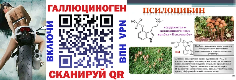 kraken зеркало  Братск  Галлюциногенные грибы MAGIC MUSHROOMS 